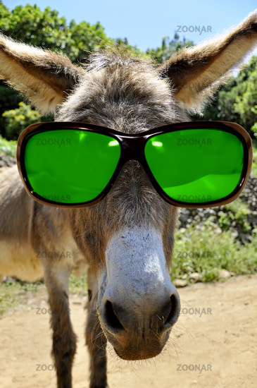 Dad hacks Donkey Kong so daughter can.