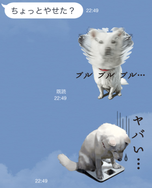 ソフトバンクCM白戸家最新シリーズ