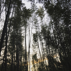 Image1_2