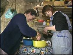 Furuseeri011 Furuseeri011