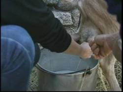 Furuseeri013 Furuseeri013