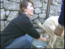 Furuseeri014 Furuseeri014