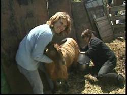 Furuseeri018 Furuseeri018