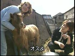 Furuseeri019_3 Furuseeri019_3