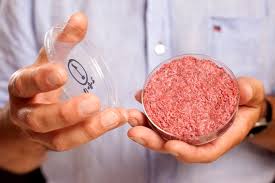人工培養肉