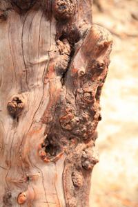 Th_img_9712