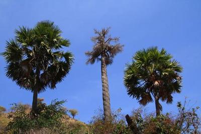Th_img_9914