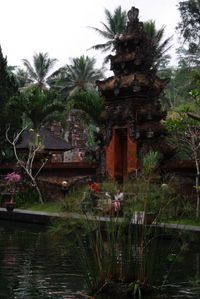 Th_img_0314