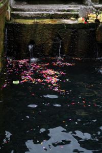 Th_img_0318
