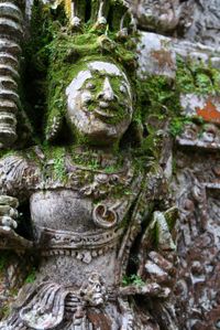 Th_img_0405