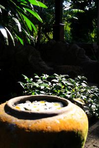 Th_img_0013