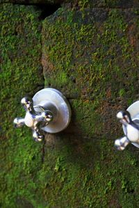 Th_img_0029_2 Th_img_0029_2