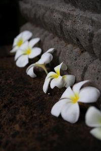 Th_img_0127 Th_img_0127