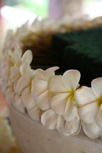Th_img_0155