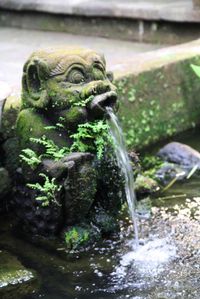 Th_img_0163