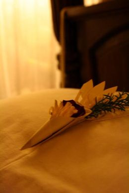 Th_img_0481 Th_img_0481