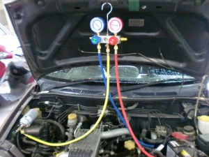 ﾏﾆﾎｰﾙﾄﾞｹﾞｰｼﾞ