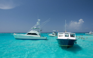 タックスヘイブン