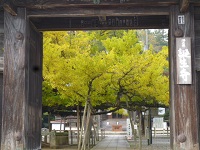 そずり丼かっぴ～サブレ 012