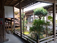 そずり丼かっぴ～サブレ 014