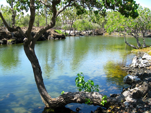 ハワイ島で出会う世界三大パワースポット「マウナ・ラニ」