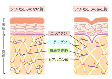 Ã©ÂÂ¢Ã©ÂÂ£Ã§ÂÂ»Ã¥ÂÂ