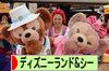 にほんブログ村 その他趣味ブログ ディズニーランド＆シーへ