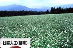 にほんブログ村 その他趣味ブログ 日曜大工（趣味）へ