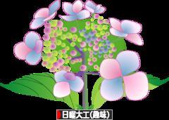 にほんブログ村 その他趣味ブログ 日曜大工（趣味）へ