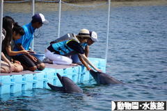 にほんブログ村 その他趣味ブログ 動物園・水族館へ