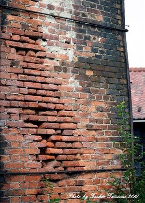 Image52