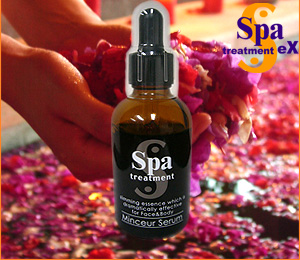 クリックすると新しいウィンドウで開きます