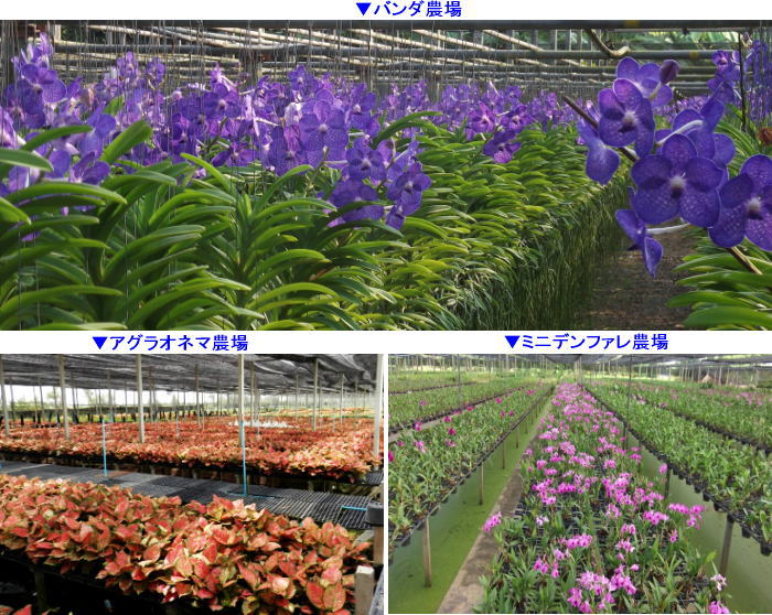 Blog1