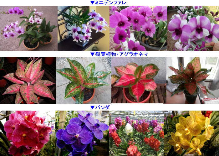 Blog2