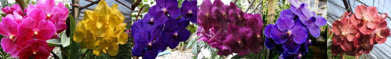 3meihinvanda