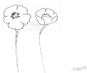 フリー素材 Http Tigpig Com 北欧風モノトーンの大人可愛いケシの花のイラスト フリー素材 ロゴ作成 イラスト制作 Webデザイン Http Tigpig Com