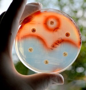 【悲報】「マジで世界滅亡2分前」世界中の有名科学者が人類滅亡寸前を指摘！ 21世紀で終了の確率は50％！の画像2