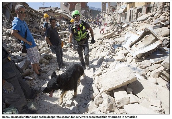 italyquake_06.jpg