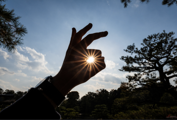 「明るい」の画像検索結果