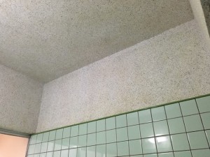 s-IMG_1432