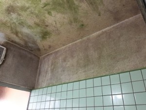 s-IMG_4908