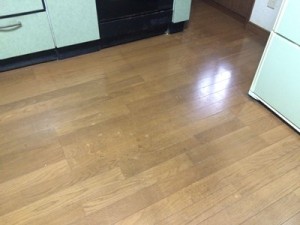 s-IMG_4274