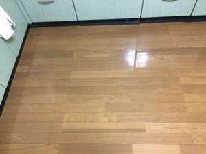 s-IMG_4276