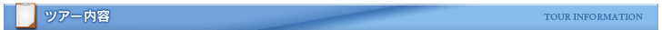 ツアー内容