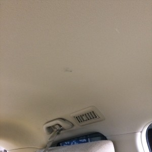 IMG_3943_R