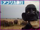 にほんブログ村 旅行ブログ アフリカ旅行へ
