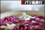 にほんブログ村 旅行ブログ バリ島旅行へ