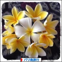 にほんブログ村 旅行ブログ バリ島旅行へ