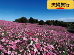 にほんブログ村 旅行ブログ 夫婦旅行へ