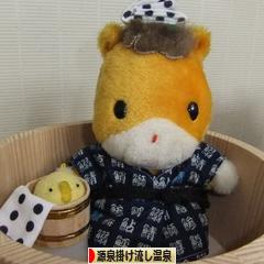 にほんブログ村 旅行ブログ 源泉掛け流し温泉へ